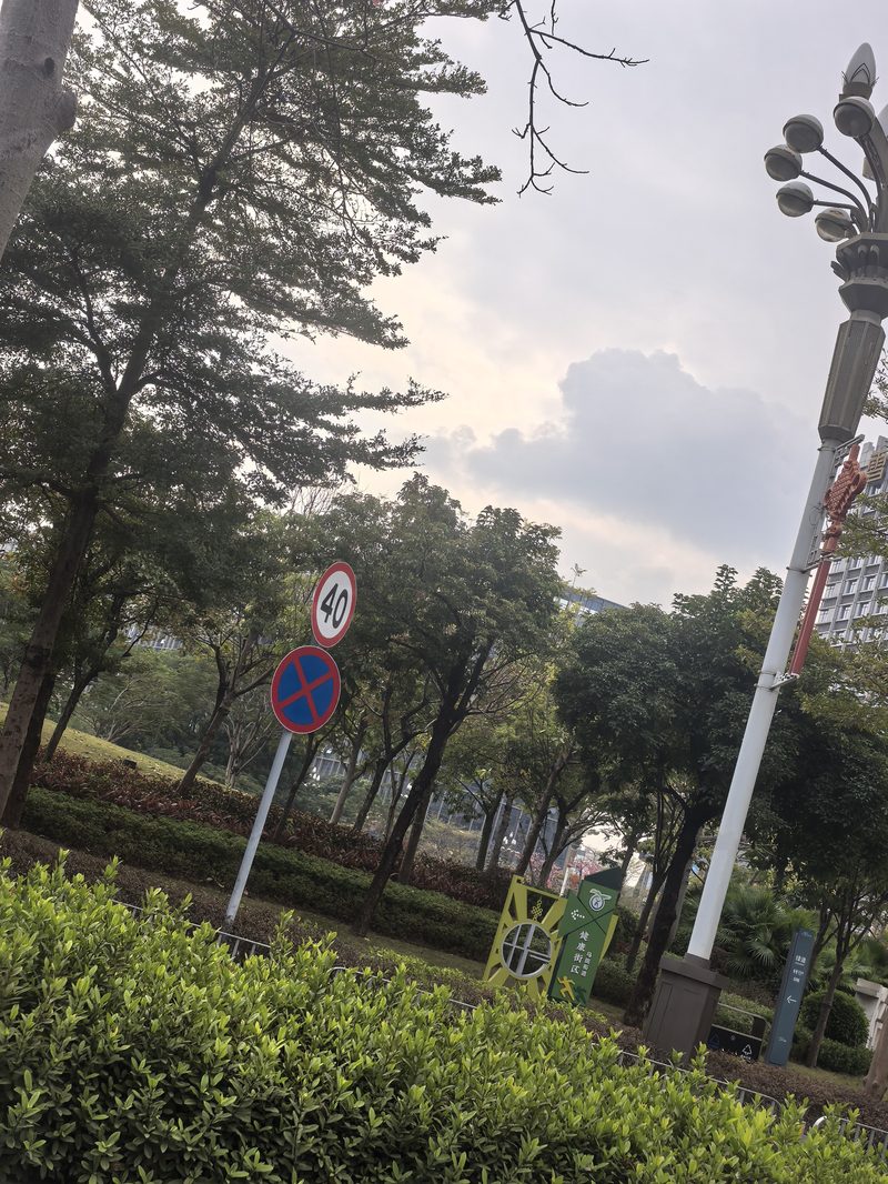 绿化种植为什么要注意季节相关配图_绿化季节